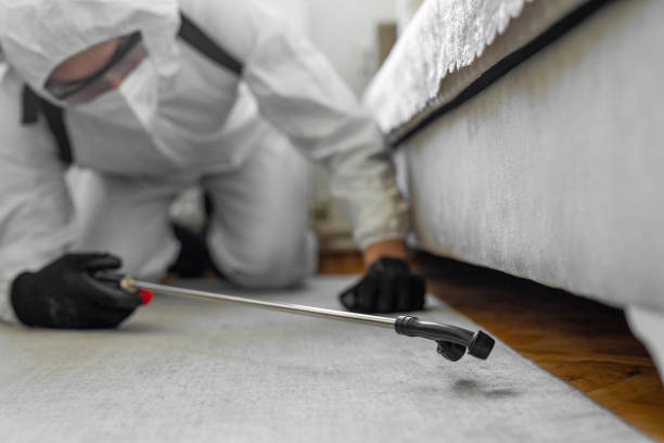 Professional Bed Bug Control technician working in Rochester, NY