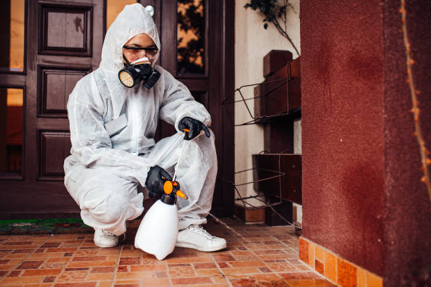 Reliable Bed Bug Control contractor in Rochester, NY by Nex Pest Control
